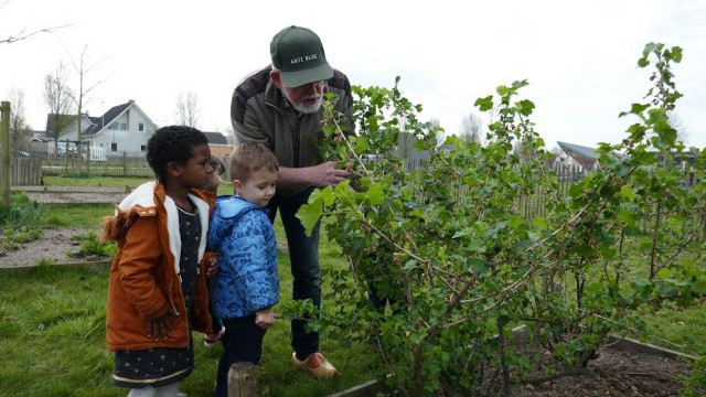 Foto: Peuters en kleuters bezoeken Wijktuin Wezep Noord