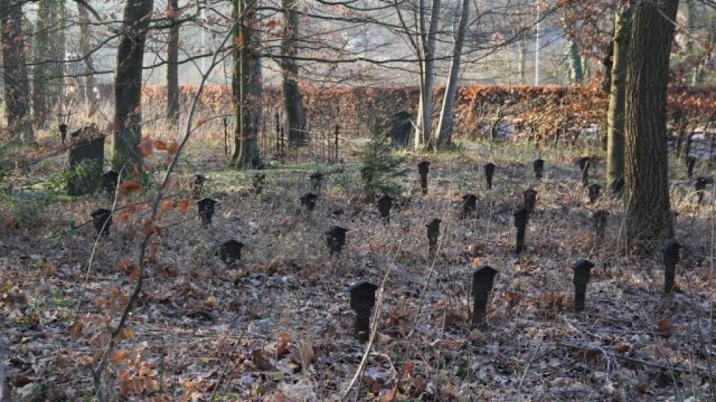 Foto: Webinarreeks Erfgoed = Maatschappij