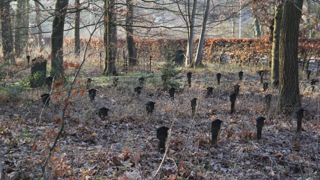 Foto: Webinarreeks Erfgoed = Maatschappij