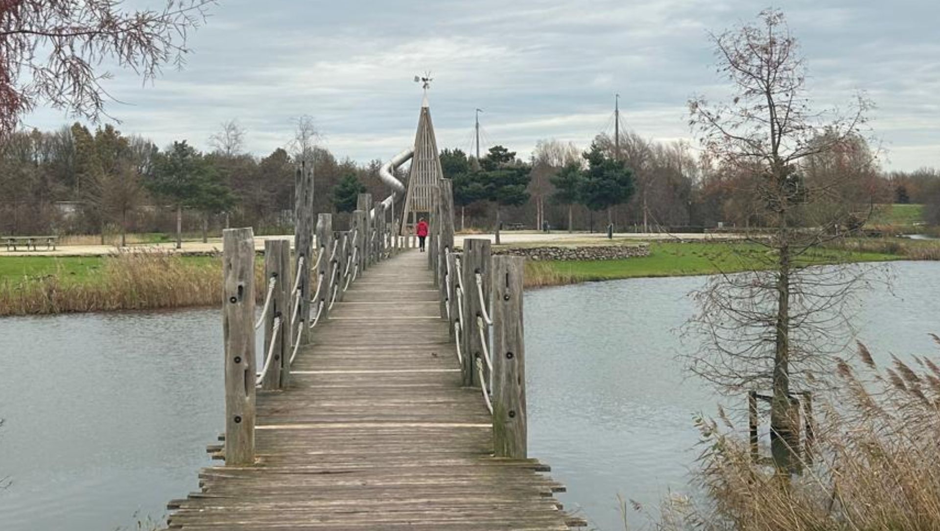 Foto: Hekken in het water gegooid na vandalisme in Harderwijkse speeltuin