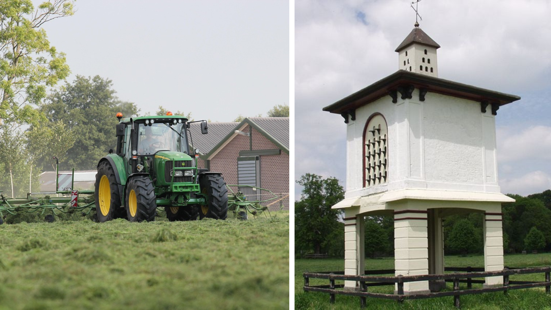 Foto: Wat mag straks nog? Oldebroek zoekt duidelijkheid over stikstofregels