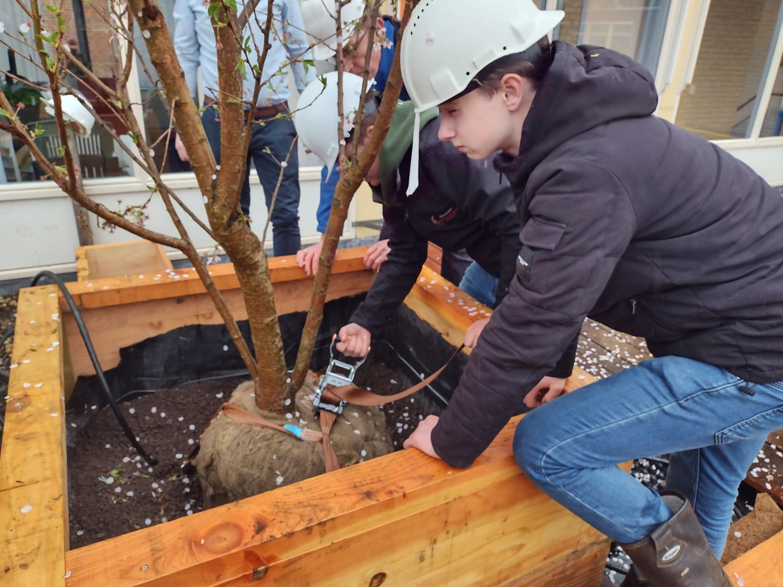 Foto: Leerlingen Van Lodenstein College creëren innovatieve daktuin