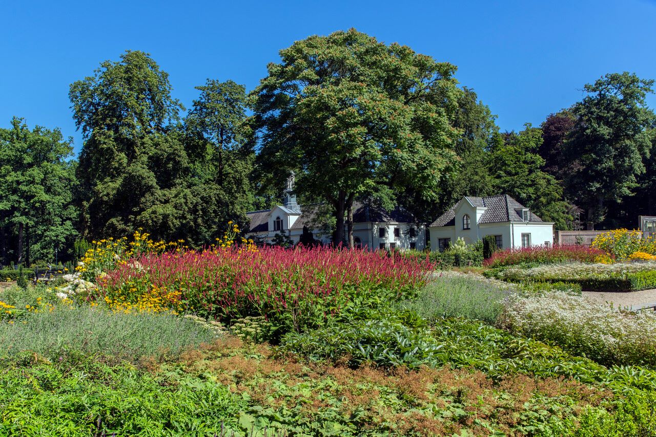 Foto: Avondwandeling voor kinderen, landgoed Staverden