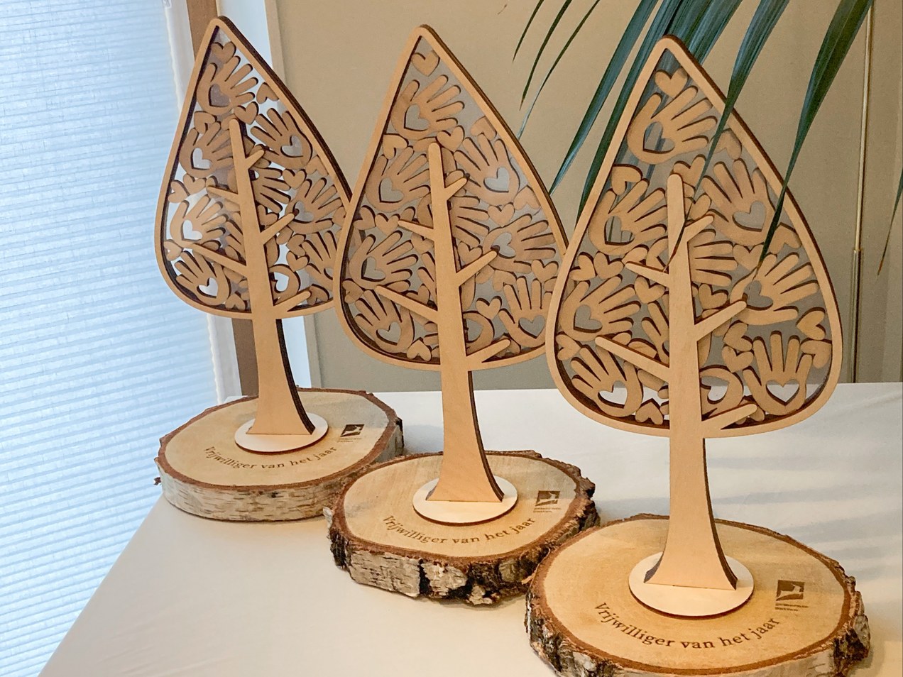 Foto: Win jij de Puttense vrijwilligersprijs van 2023?