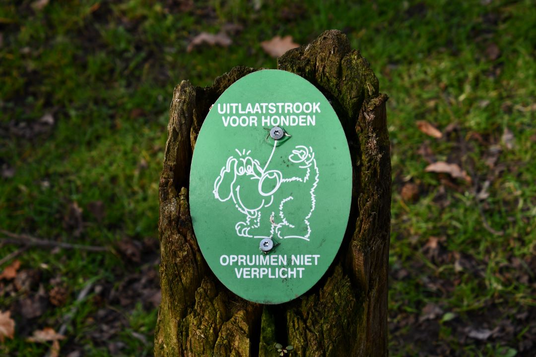 Foto: Hondenpoep; wordt de overlast opgelost door meer afvalbakken te plaatsen?