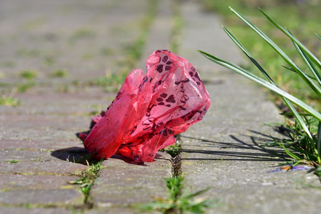 Foto: Hondenpoep; wordt de overlast opgelost door meer afvalbakken te plaatsen?