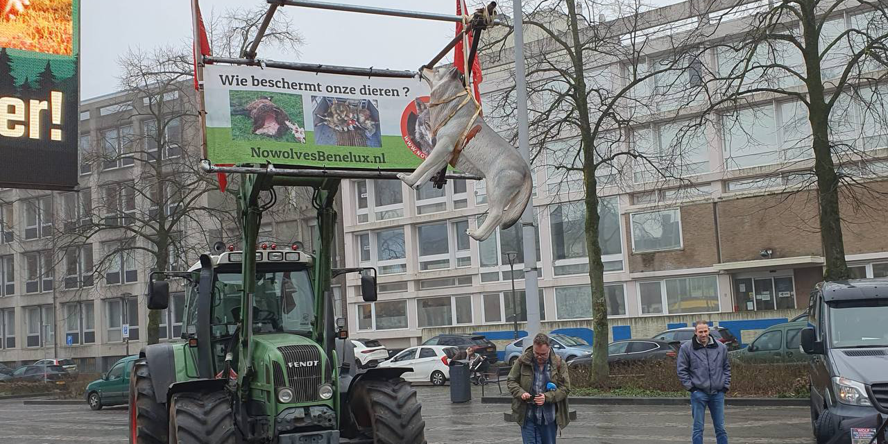 Foto: Demonstratie en spoeddebat over wolf: hier gaat het over
