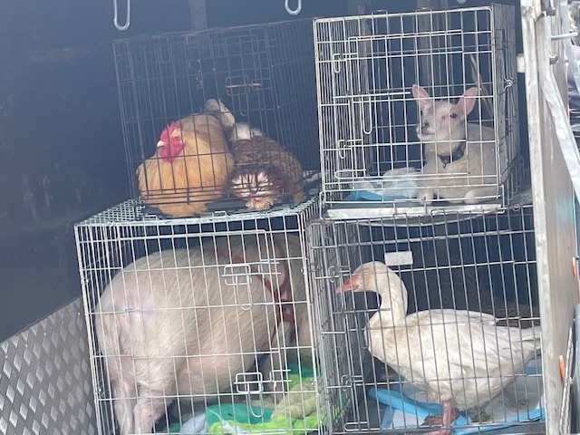 Foto: Column Dierbare momenten