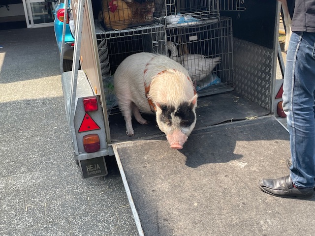 Foto: Column Dierbare momenten