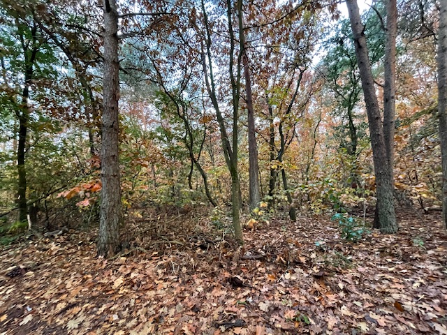 Foto: Column "Kleine momentjes die groot lijken"