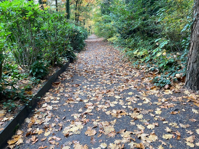 Foto: Column: Wonen in de luxe van de natuur