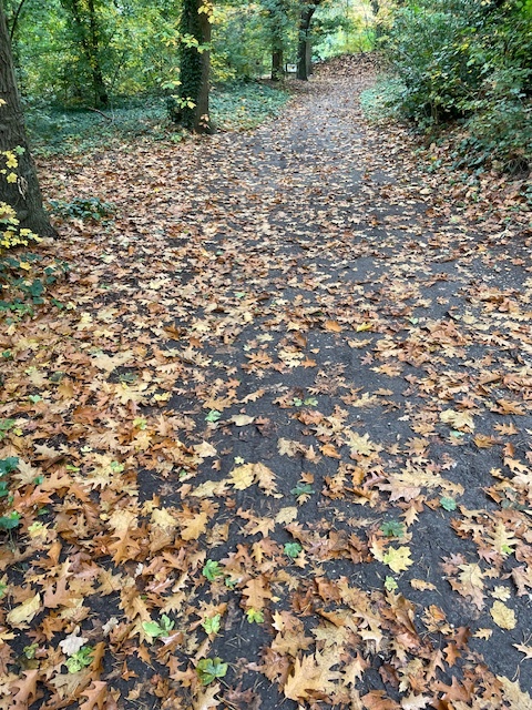 Foto: Column: Wonen in de luxe van de natuur