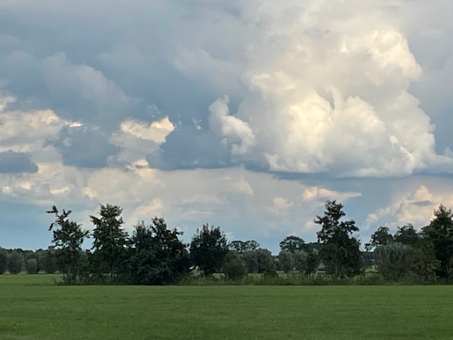 Foto: COLUMN: De koude smaak van het platte land