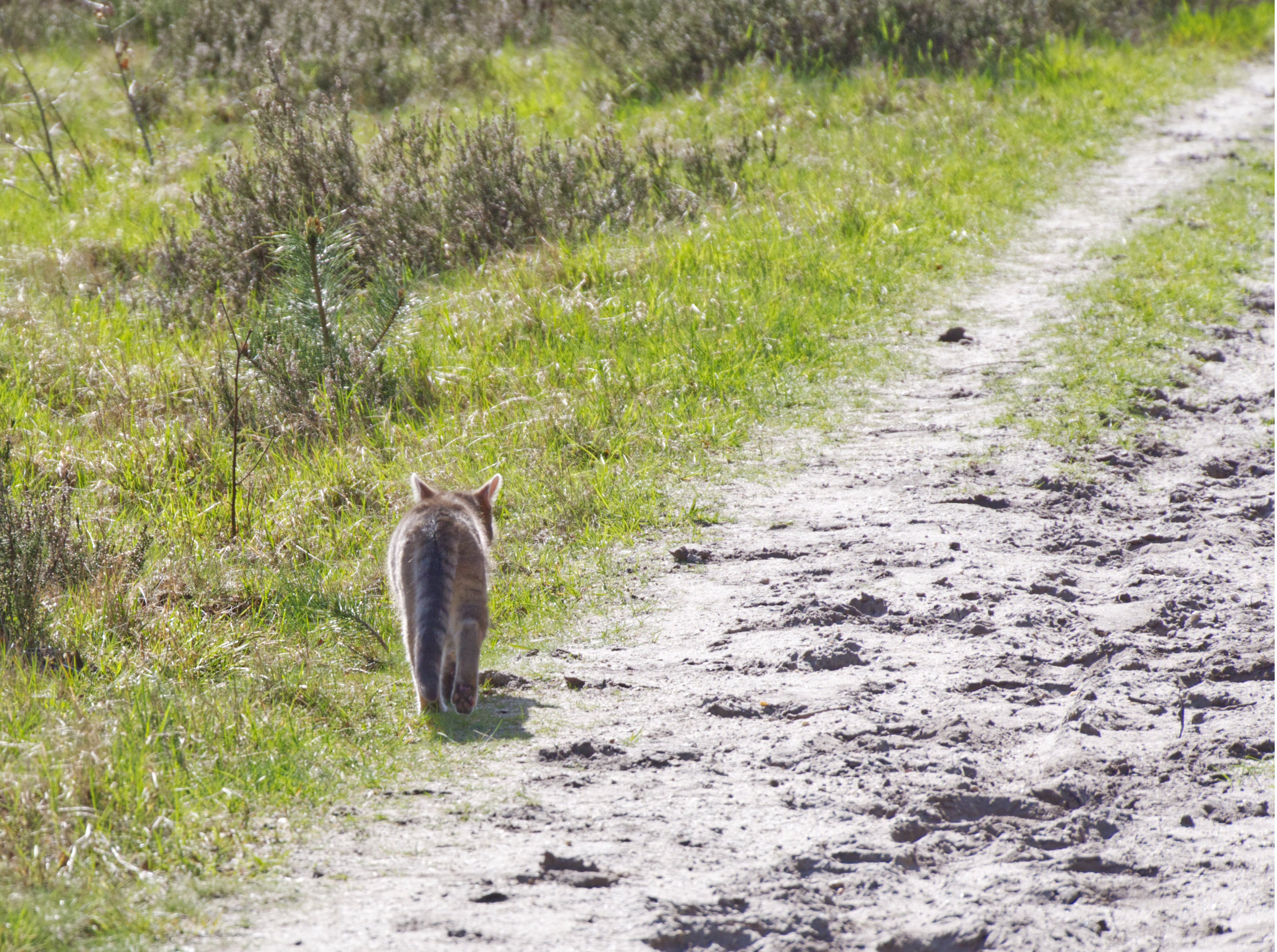 Foto: Alleen op de wereld