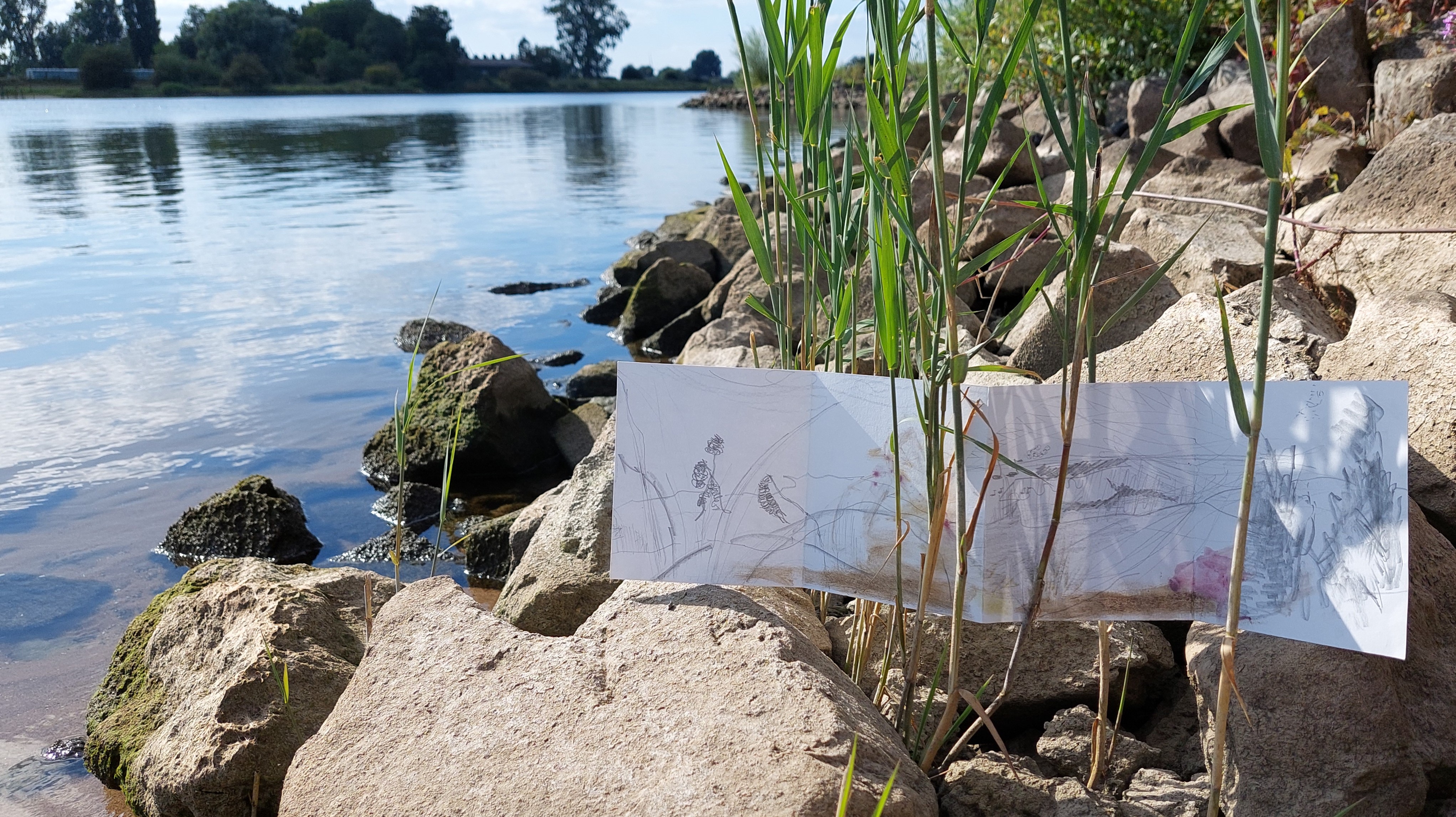 Foto: Excursie met IVN Zwolle e.o.: Struin, kijk, schets en zie meer