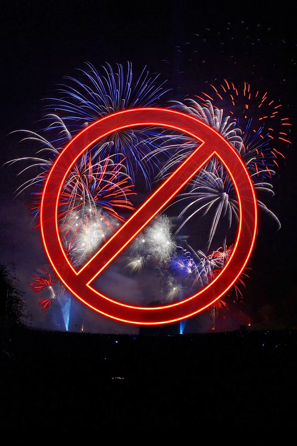 Foto: Gemeente Elburg zet in op veilige jaarwisseling in vesting en haven