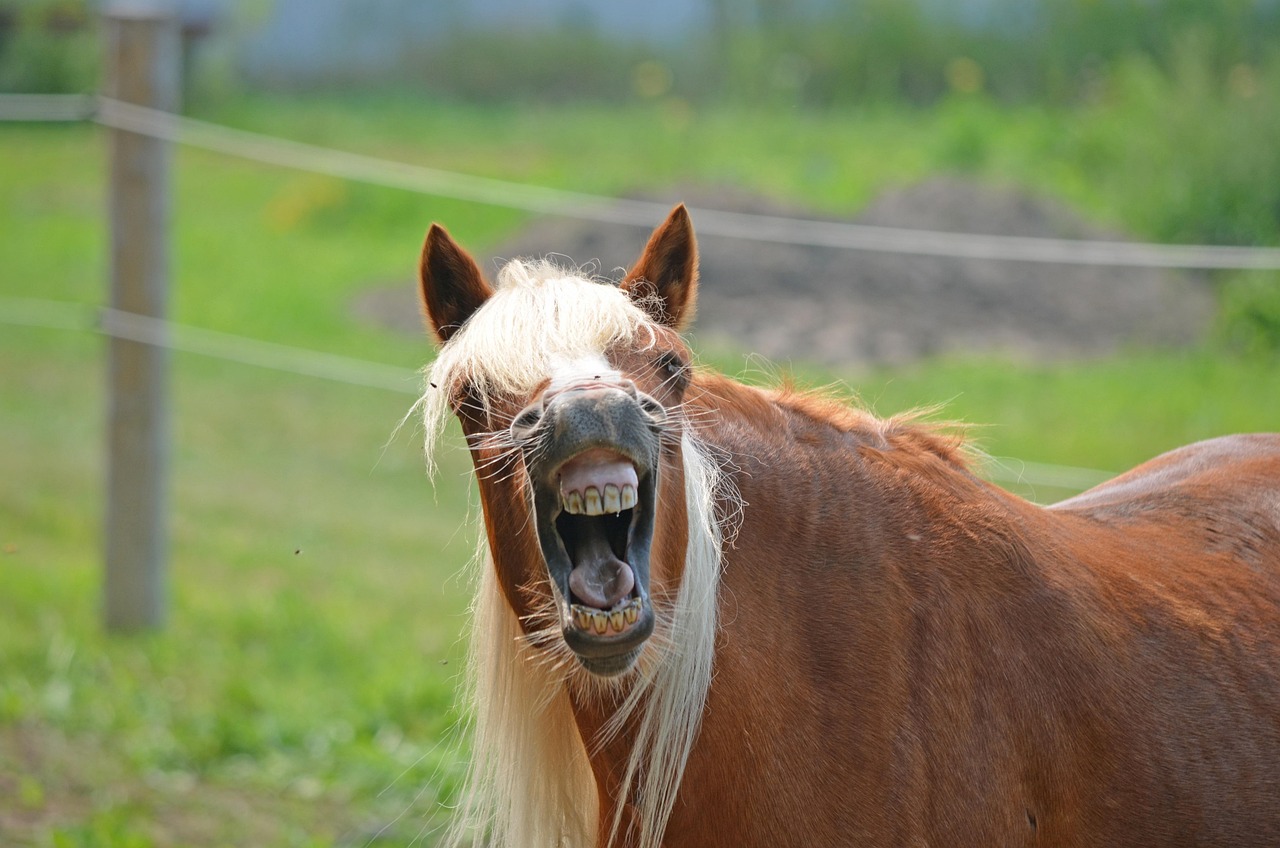 Foto: Column "Nooit hetzelfde"