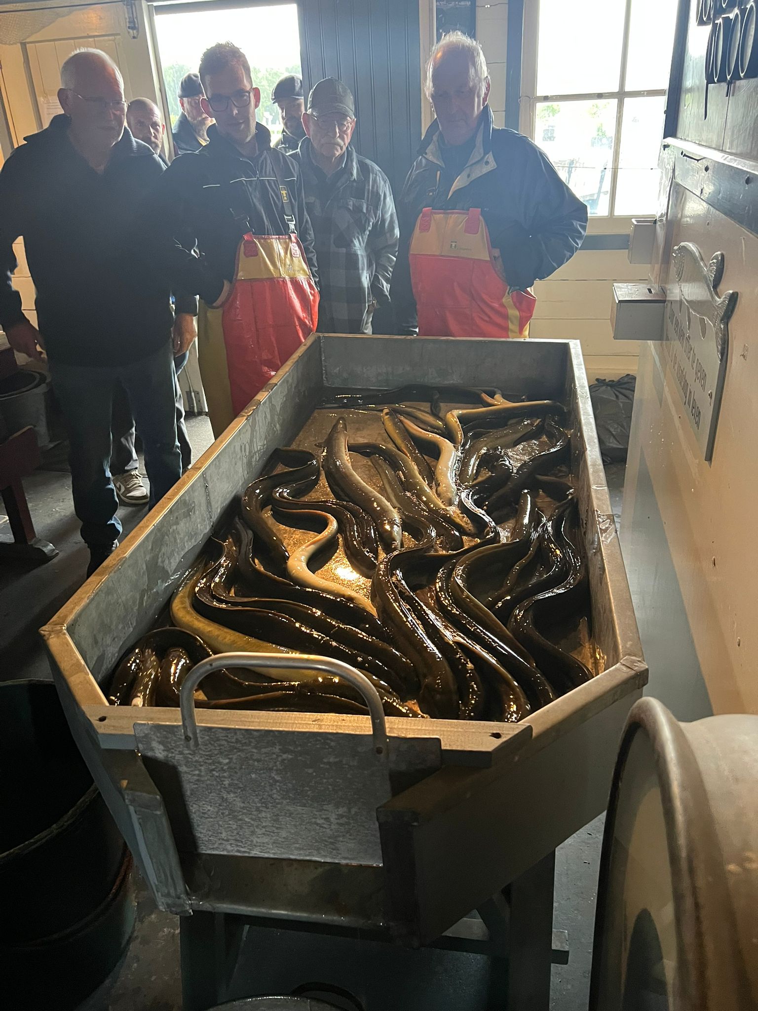 Foto: Paling, Prestatie en Plezier: Visserijweekend in Elburg  