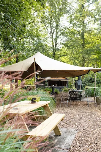 Foto: Ontdek de smaken van de natuur – Culinaire zomerwandeling op 25 juni