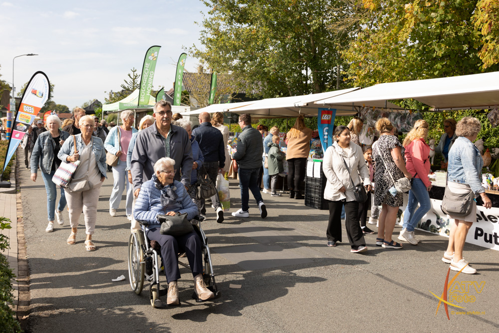 Foto: Geslaagde Schapenmarkt in Oldebroek: traditie, gezelligheid en internationale muziek