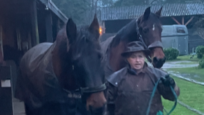 Foto: Column 'Achter elk sterk paard staat een nog sterkere vrouw. (En een man met een shovel)'