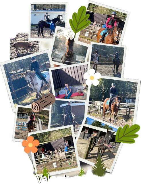 Foto: Column "Een paard koop je niet voor de zomer"