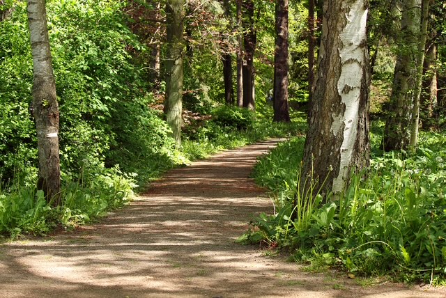 Foto: Column "Een ontmoeting"