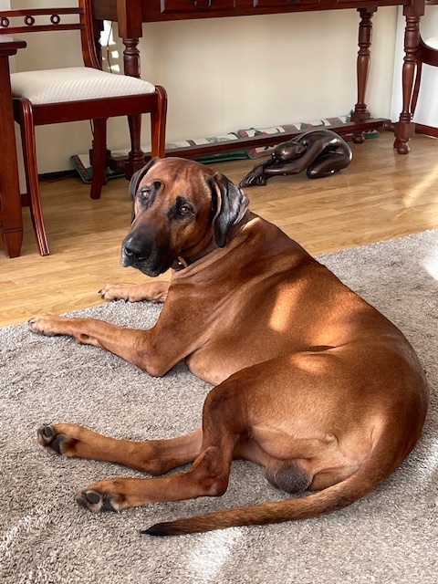 Foto: Column "Te mooi om waar te zijn"