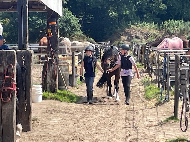 Foto: Ponykamp op de Veluwe trekt kinderen uit het Westland 