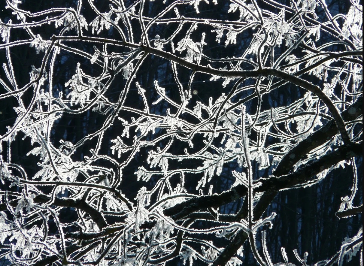 Foto: Column 'Vrieskou verandert het gemoed'