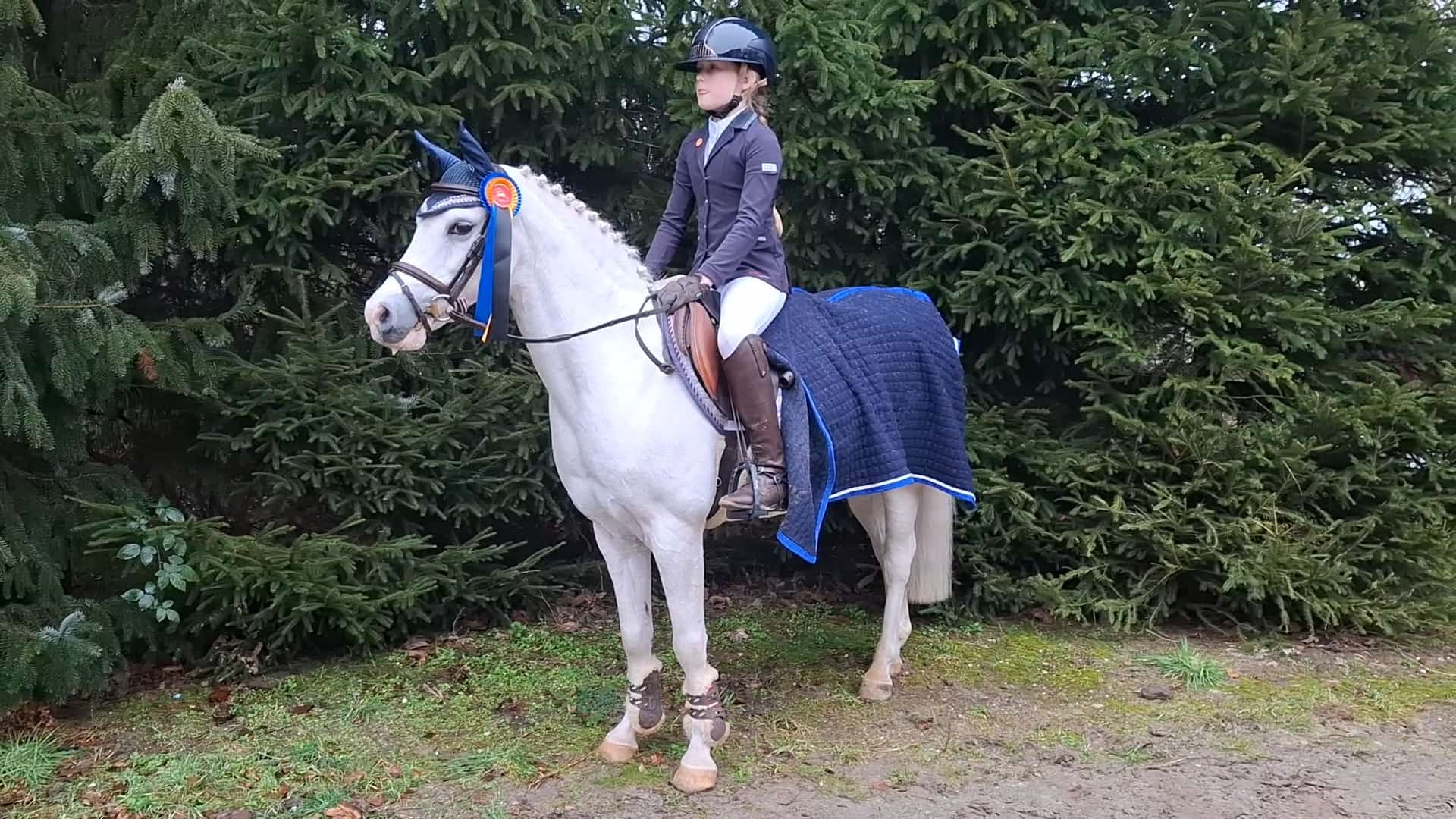Foto: Ponyclub Klein Maar Dapper, groots in resultaten