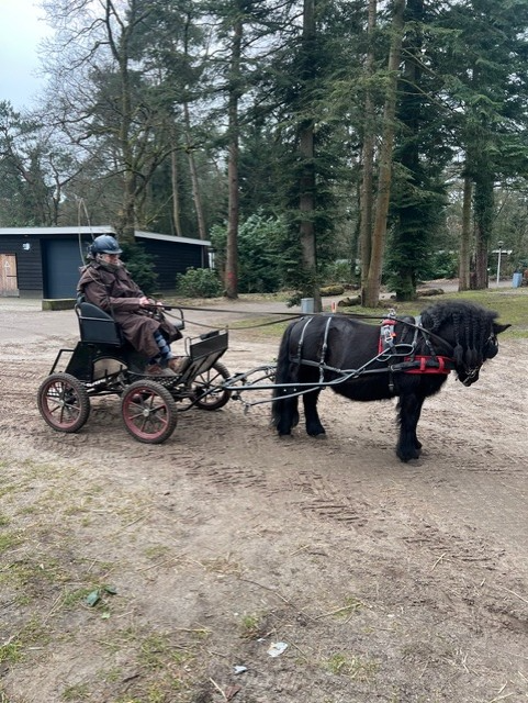 Foto: Column: Stagiaires 'Waar laarzen leren lopen'