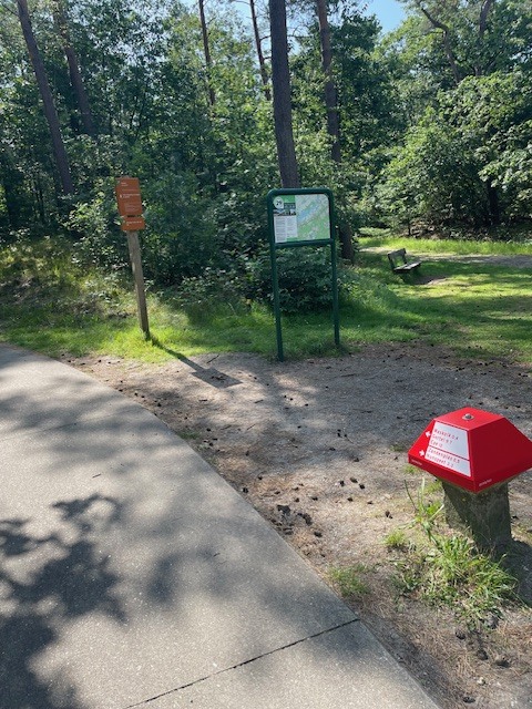 Foto: Column 'Het bos bij de Zandenplas is drukker als niemand er iets van verwacht'