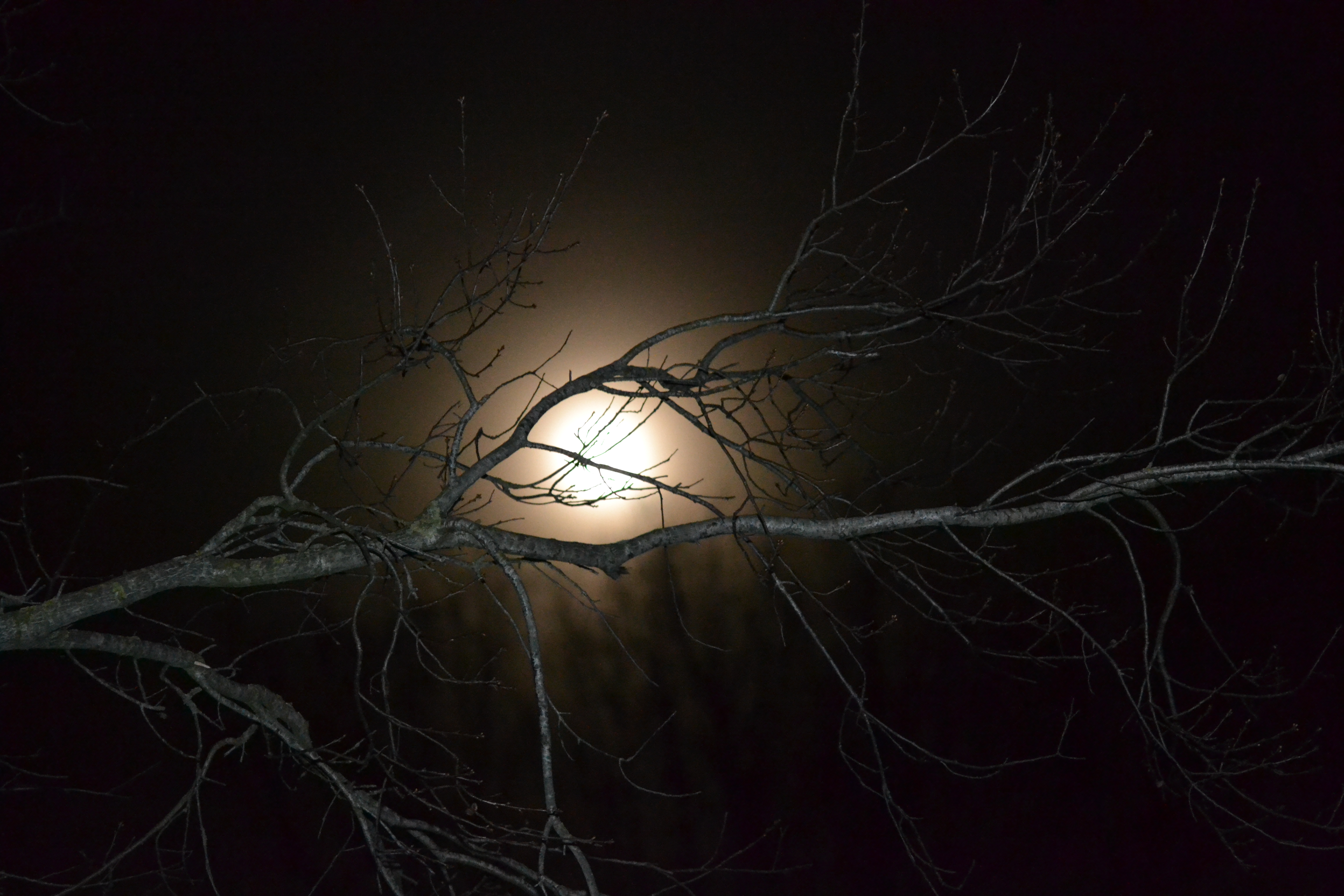 Foto: Digitale expositie Wiel: Fotografie is meer dan beeld