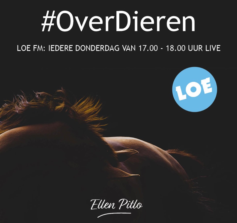 Foto: #OverDieren over diervriendelijke kinderboerderijen
