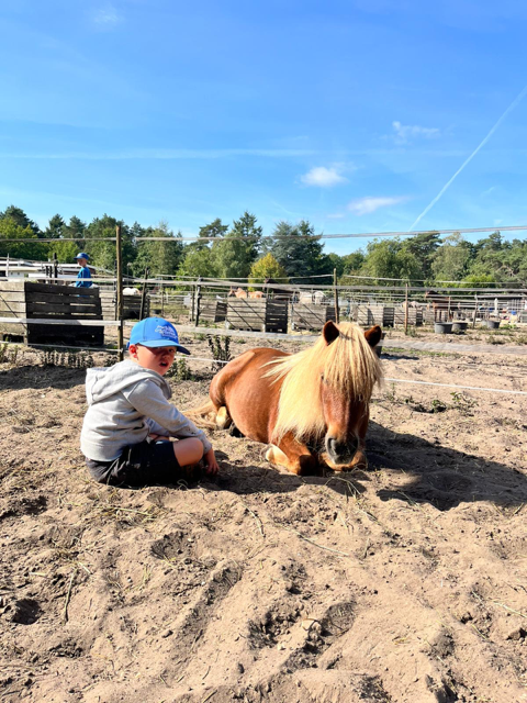 Foto: Column "Een dag vol frisse paardenwind"
