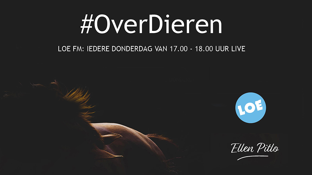 Foto: #OverDieren over Dierencentrum de Ark