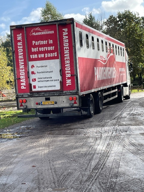 Foto: Ponykamp bij Vakantiestalling De Witte Wieven in Nunspeet