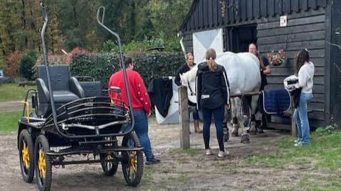 Foto: Ponykamp bij Vakantiestalling De Witte Wieven in Nunspeet