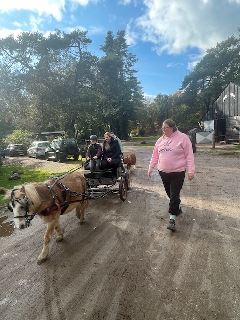 Foto: Ponykamp bij Vakantiestalling De Witte Wieven in Nunspeet