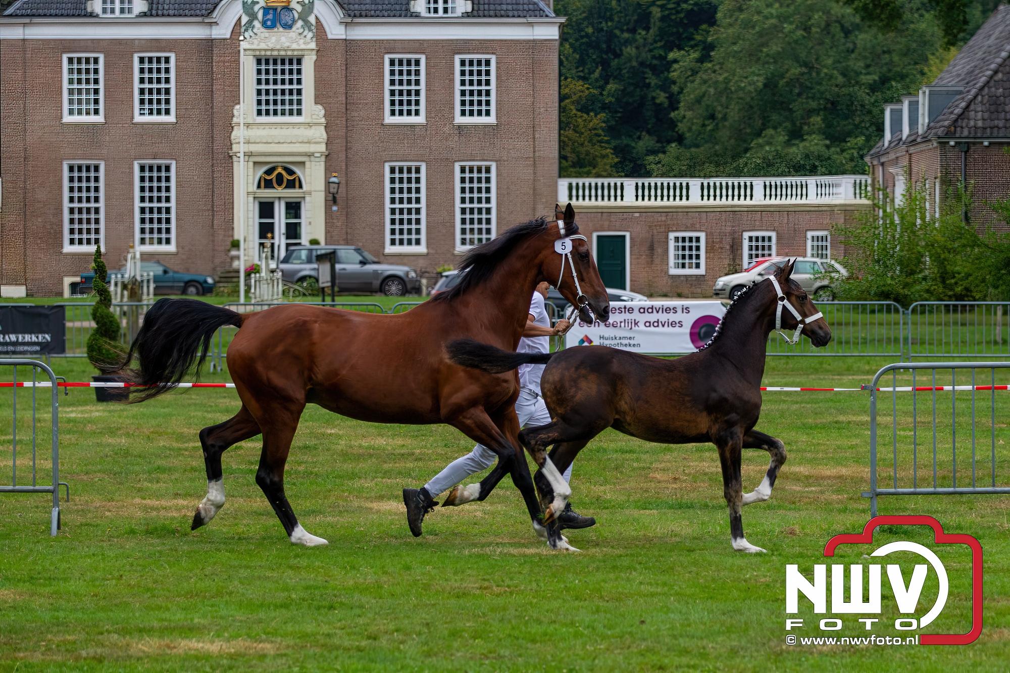 Foto: Paardensporttraditie in volle glorie op Landgoed Zwaluwenburg