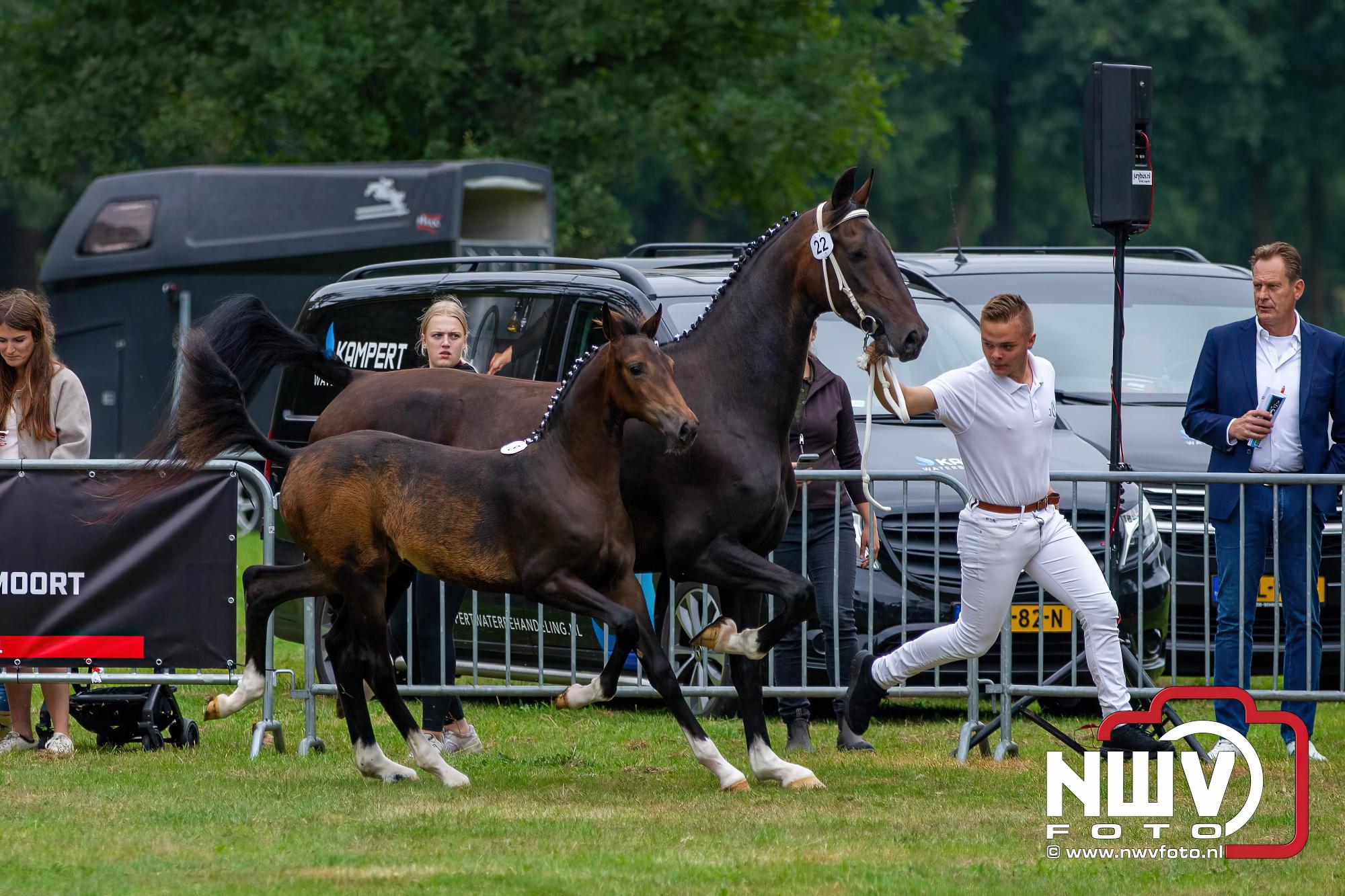 Foto: Paardensporttraditie in volle glorie op Landgoed Zwaluwenburg