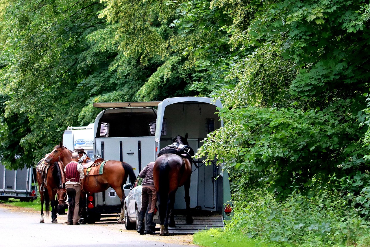 Foto: Column 'De Haagse Familie uit Laakkwartier: Een Onverwacht Avontuur op de Veluwe'