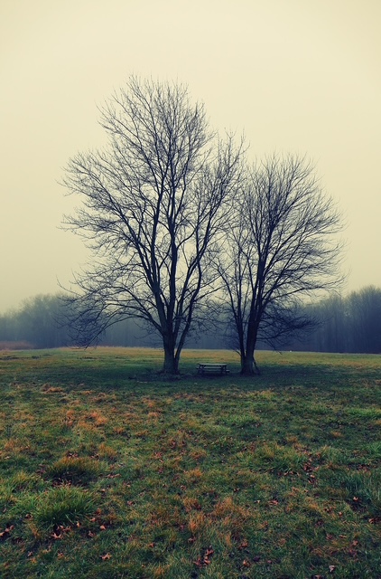 Foto: Column "Benauwd, broeierig, breekbaar"