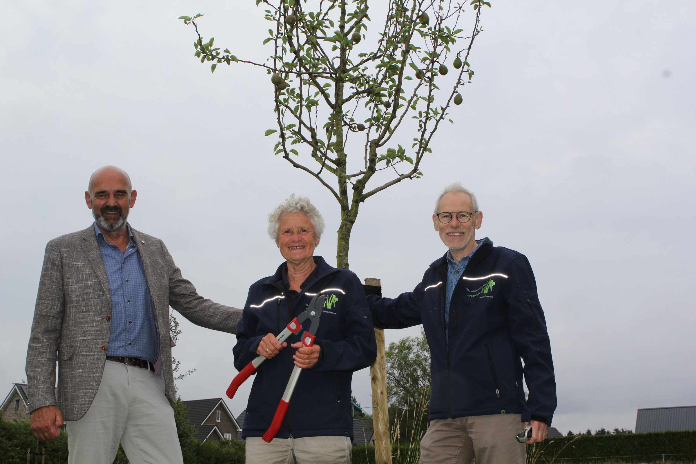 Foto: 200 Hoogstamfruitbomen met hoge korting beschikbaar