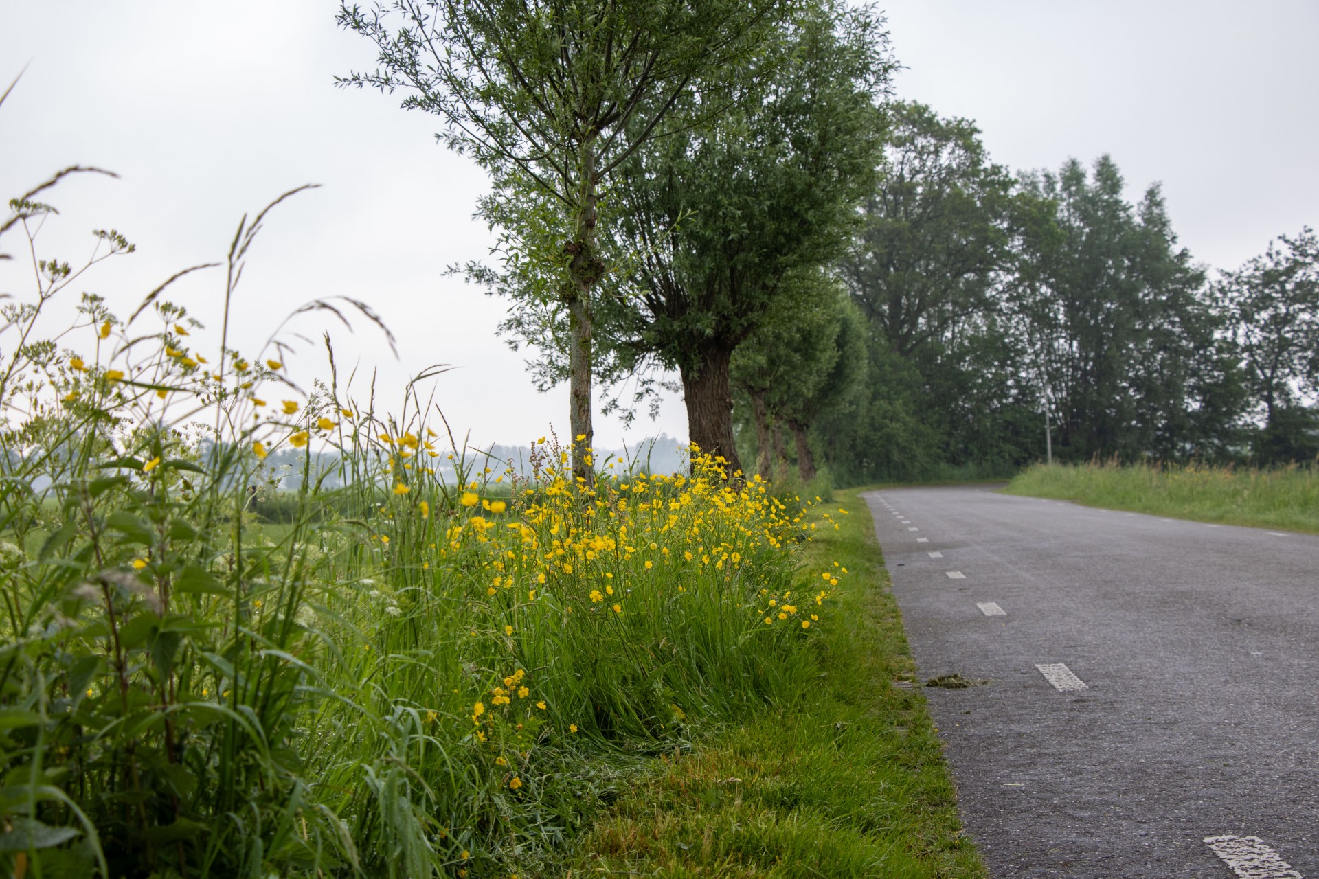 Foto: Onderhoud bermen