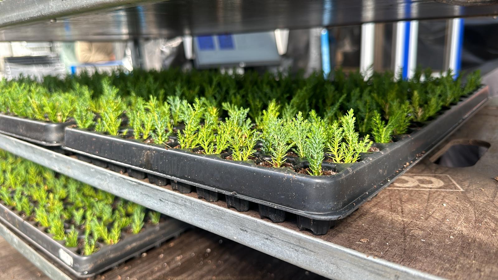 Foto: Bedrijvenkring Oldebroek op zomerborrel bij Edens Plants & Creations