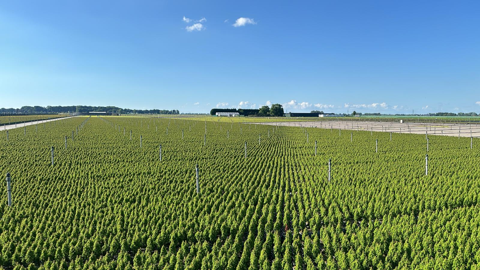 Foto: Bedrijvenkring Oldebroek op zomerborrel bij Edens Plants & Creations