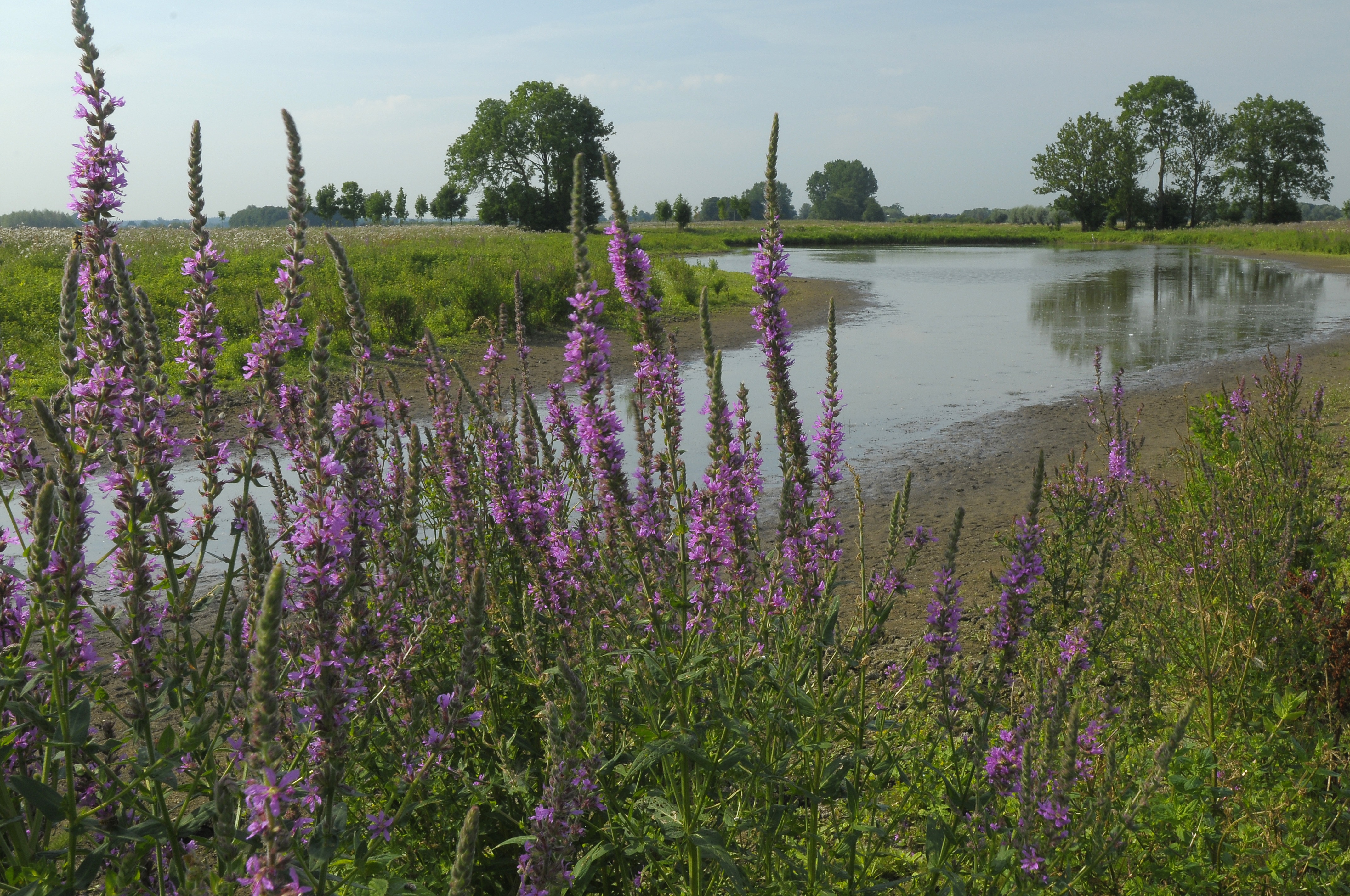 Foto: Unieke excursies langs de IJssel 