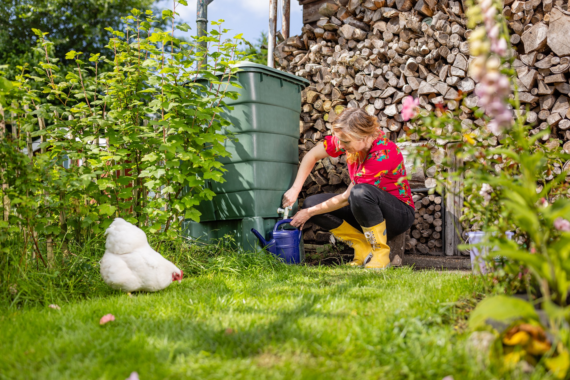 Foto: Veel belangstelling voor tuinsubsidie